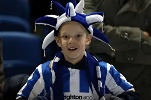 Peterborough United - 06-11-2012 Prints: Brighton & Hove Albion FC: Electric Atmosphere at The Amex (2012-2013)