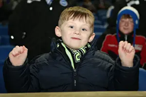 Bristol City - 27-11-2012 Prints: Brighton & Hove Albion FC: Electric Atmosphere at The Amex (2012-2013)