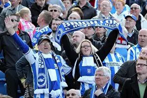 Blackpool - 20-04-2013 Prints: Brighton & Hove Albion FC: Electric Atmosphere at The Amex (2012-2013) - Crowd Shots