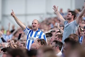 Images Dated 20th August 2011: Brighton and Hove Albion FC: Electric Atmosphere at The Amex Stadium (2011-12)