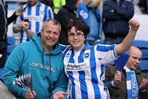 Images Dated 13th May 2013: Brighton and Hove Albion FC: Electric Atmosphere of the Amex Stadium (2012-2013)
