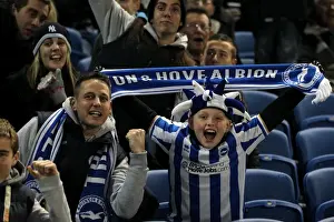 Bristol City - 27-11-2012 Prints: Brighton & Hove Albion FC: Electric Atmosphere - The Amex Crowd Shots (2012-2013)
