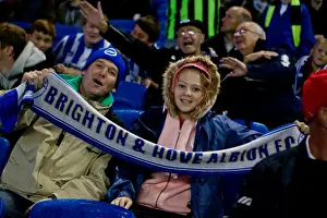 Ipswich Town - 02-10-2012 Prints: Brighton & Hove Albion FC: Electric Atmosphere at the Amex Stadium (2012-2013)
