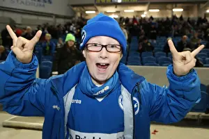 Leeds United - 02-11-2012 Prints: Brighton & Hove Albion FC: Electric Atmosphere at the Amex Stadium (2012-2013)