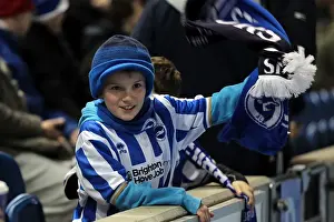 Bristol City - 27-11-2012 Prints: Brighton & Hove Albion FC: The Electric Atmosphere of Amex Stadium (2012-2013) - Crowd Shots