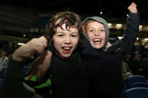 Bristol City - 27-11-2012 Prints: Brighton & Hove Albion FC: The Electric Atmosphere of Amex Stadium (2012-2013) - Crowd Shots