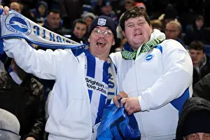 Brighton & Hove Albion FC: Electric Atmosphere at the Amex Stadium (2012-2013) - Crowd Shots