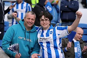 Brighton and Hove Albion FC: Electric Atmosphere of the Amex Stadium (2012-2013) - Unforgettable Crowd Moments