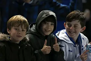Bristol City - 27-11-2012 Prints: Brighton & Hove Albion FC: Electric Atmosphere - The Amex Stadium Crowd Shots (2012-2013)