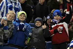 Blackburn Rovers - 12-02-2013 Prints: Brighton & Hove Albion FC: Electric Atmosphere - The Amex Stadium Crowd Shots (2012-2013)