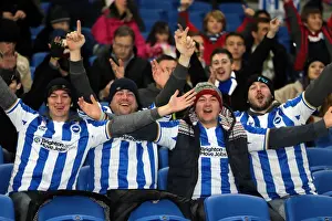Millwall - 18-12-2012 Prints: Brighton & Hove Albion FC: Electric Atmosphere - Crowd Shots at The Amex (2012-2013)
