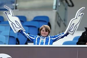Images Dated 20th April 2013: Brighton & Hove Albion FC: Electrifying Crowd Moments at The Amex Stadium (2012-13)