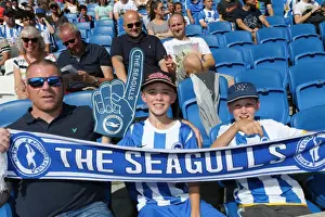 Prints of Albion fans during the pre-season friendly match between Brighton and Hove Albion and Sevilla FC at the American Express Community Stadium, Falmer, England on 2nd August 2015 Pre-Season Prints: Brighton and Hove Albion FC Fans in Full Force at the 2015 Sevilla Pre-season Friendly