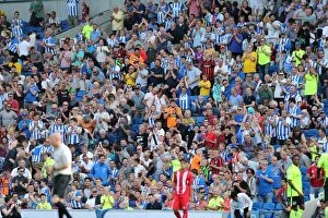 Images Dated 2nd August 2015: Brighton and Hove Albion FC Fans in Full Swing: Pre-season Friendly Against Sevilla FC