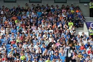 Images Dated 2nd August 2015: Brighton and Hove Albion FC: Passionate Fans in Action during 2015 Pre-Season Friendly against