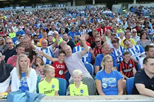Prints of Albion fans during the pre-season friendly match between Brighton and Hove Albion and Sevilla FC at the American Express Community Stadium, Falmer, England on 2nd August 2015 Pre-Season Prints: Brighton and Hove Albion FC: Passionate Fans in Action during Sevilla Friendly, 2015