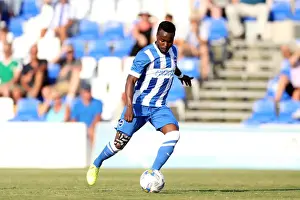 Brighton & Hove Albion FC: Pre-Season Training July 2014