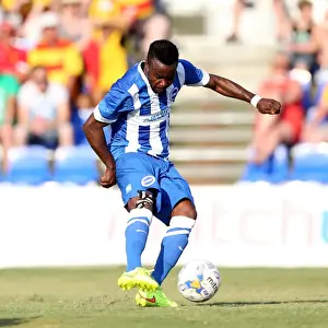 Brighton & Hove Albion FC: Pre-Season Training July 2014