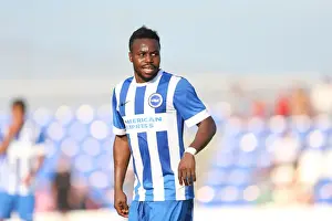 Brighton & Hove Albion FC: Pre-Season Training July 2014