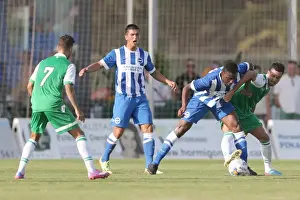 Brighton & Hove Albion FC: Pre-Season Training July 2014
