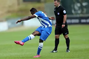 Brighton & Hove Albion FC: Pre-Season Training July 2014