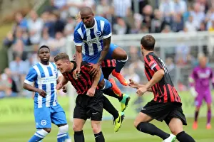 Brighton & Hove Albion FC: Pre-Season Training July 2014