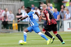 Brighton & Hove Albion FC: Pre-Season Training July 2014