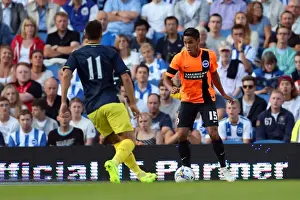 Brighton & Hove Albion FC: Pre-Season Training July 2014