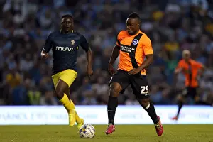 Brighton & Hove Albion FC: Pre-Season Training July 2014