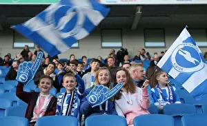 Brighton and Hove Albion FC: A Sea of Colors as Fans Roar Against Huddersfield Town (14APR15)