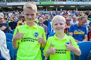Images Dated 2nd August 2015: Brighton and Hove Albion FC: A Sea of Supporters in Full Force at the 2015 Pre-Season Friendly