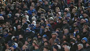 Nottingham Forest 07FEB15 Prints: Brighton and Hove Albion FC: A Spectacular Show of Colors by Fans vs