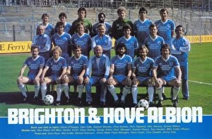 Images Dated 7th May 2009: Brighton and Hove Albion FC: Team Portraits