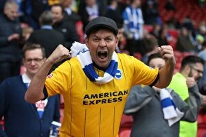 Images Dated 7th May 2016: Brighton and Hove Albion FC: Unforgettable Championship Victory Celebrations at Middlesbrough's