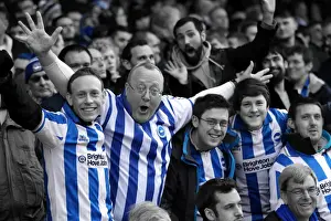 Crowd Shots Away Days 2012-13 Prints: Brighton and Hove Albion FC: Unforgettable Away Day Crowd Moments 2012-13