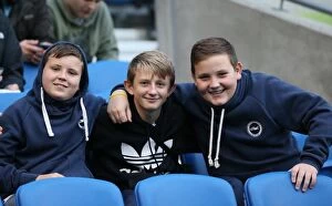 Images Dated 8th November 2014: Brighton and Hove Albion FC: Unwavering Fan Support in Sky Bet Championship Clash vs
