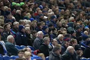 Brighton and Hove Albion FC: Unwavering Fan Support in Sky Bet Championship Clash vs. Wigan Athletic (November 2014)