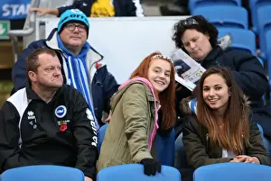 Brighton and Hove Albion FC: Unwavering Fan Support in Sky Bet Championship Clash vs. Blackburn Rovers (November 2014)