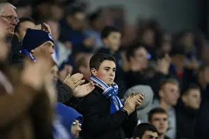 Brighton and Hove Albion FC: Unwavering Support in Sky Bet Championship Clash vs. Wigan Athletic (November 2014)