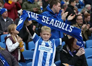Brighton & Hove Albion FC: Unwavering Support in Sky Bet Championship Clash vs. Blackburn Rovers (8 Nov 2014)