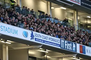Brighton and Hove Albion FC: Unwavering Support - Sky Bet Championship Match vs. Wigan Athletic (8 November 2014)