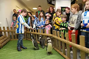 Young Seagulls Xmas Party 2013 Prints: Brighton & Hove Albion FC: Young Seagulls Christmas Party 2013
