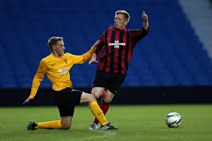 Brighton & Hove Albion: Game 4 - The Pitch Battle (May 2014)