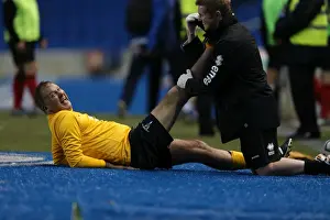 Brighton & Hove Albion: Game 4 - The Pitch Battle (May 2014)