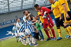Brighton & Hove Albion: Game 5 - The Thrilling Pitch Battle (21st May 2014)