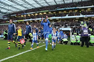 Brighton and Hove Albion: Gordon Greer Leads the Team Out Against Arsenal in FA Cup Match, American Express Community Stadium, January 2015