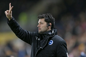 Brighton & Hove Albion at Hull City (Away Game), February 24, 2014