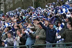 Brighton and Hove Albion: The Inaugural Scarf Day at Millwall - A Sea of Colors