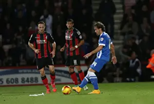 Bournemouth 01NOV14 Prints: Brighton & Hove Albion: Inigo Calderon at American Express Community Stadium vs