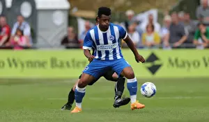 Brighton and Hove Albion Take on Lewes in Pre-Season Friendly (18 July 2015)